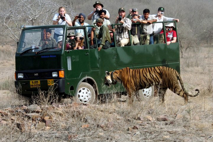 Saalvan spa and resort Corbett National Park