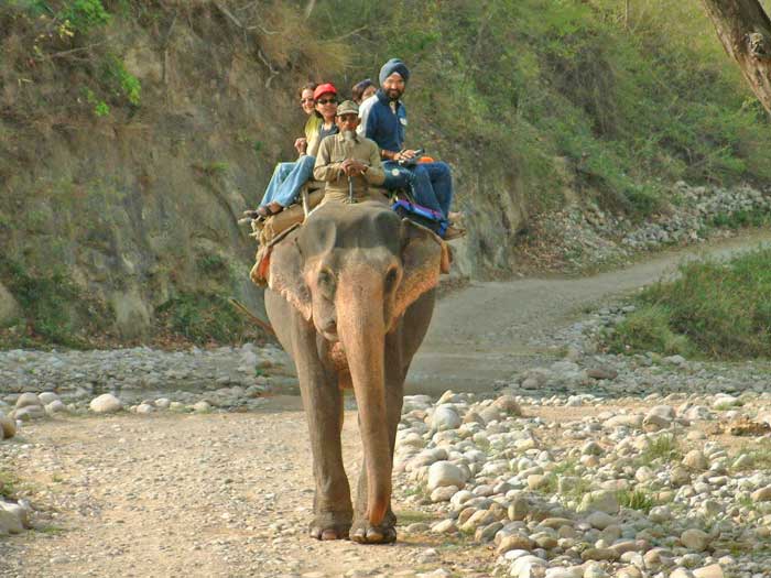 Saalvan spa and resort Corbett National Park
